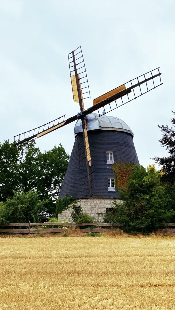 Unsere Plantage 2 Die Windmühle El Che in Burgstemmen